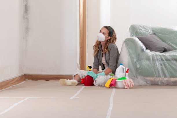 Reliable Commercial Mold Remediation contractor in Ocean Grove, NJ by WQB Mold Removal